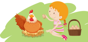 Child with chicken