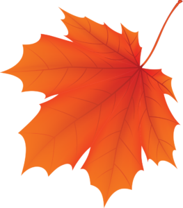 Fall colored leaf