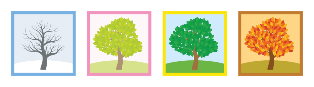 4 seasons of trees